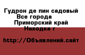 Гудрон де пин садовый - Все города  »    . Приморский край,Находка г.